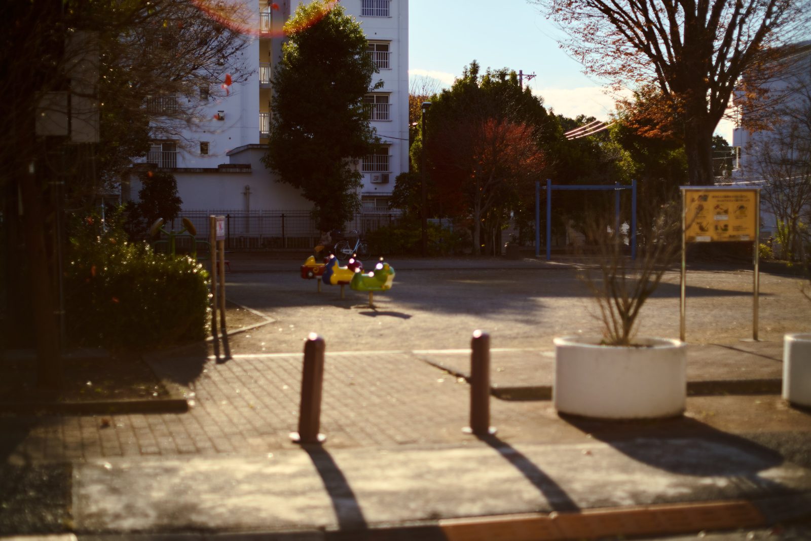 Original photo: a park at sunset with long shadows